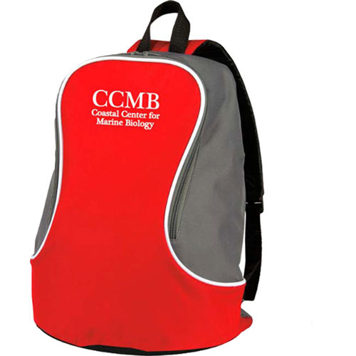 Bi Colored Backpack
