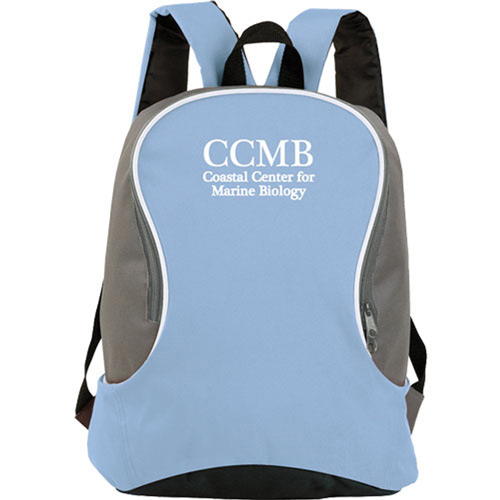 Bi Colored Backpack