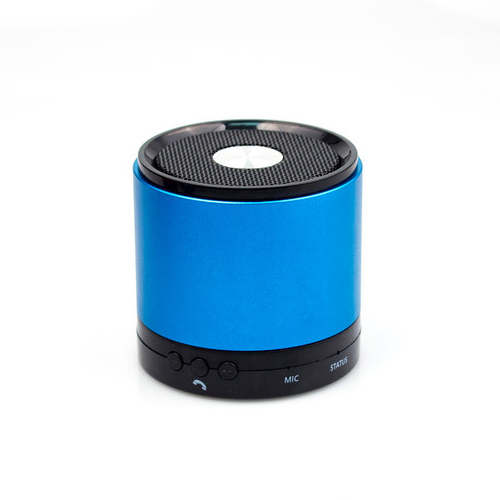AudioPhone Speaker