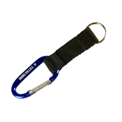 Carabiner Key Chain