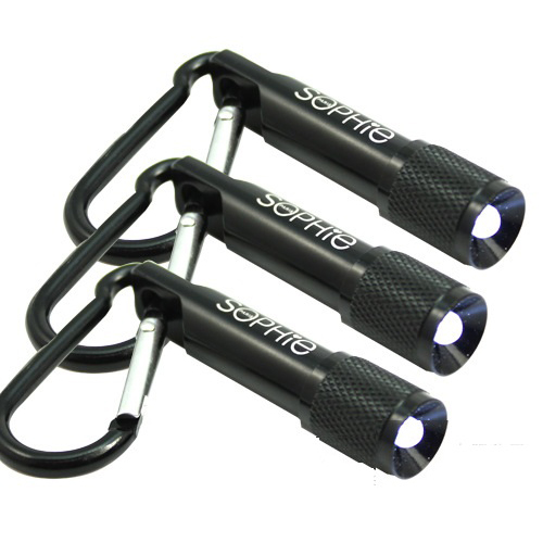 Small Carabiner with Flashlight