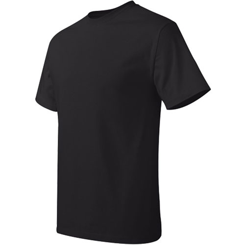 Dark Hanes Authentic Tagless T-Shirt