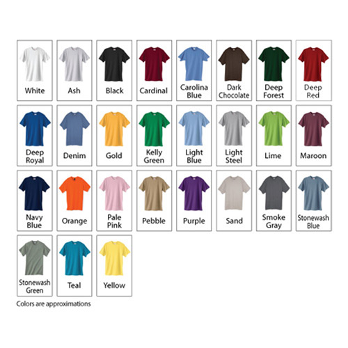 Dark Hanes Authentic Tagless T-Shirt