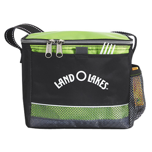 Icy Bright Lunch Cooler