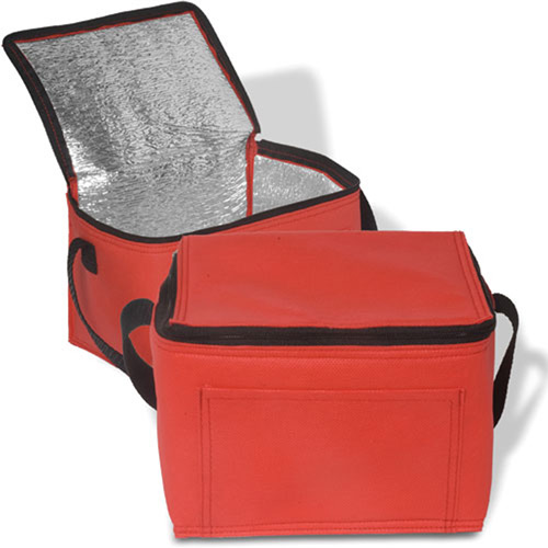 Insulated Lunch Bag (80 GSM)