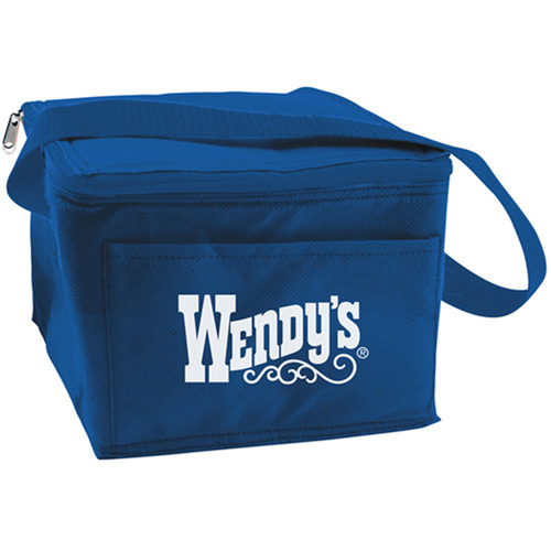 6 Can Collapsible Cooler Lunch Bag with Carry Strap