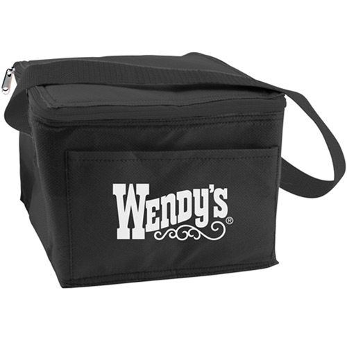 6 Can Collapsible Cooler Lunch Bag with Carry Strap