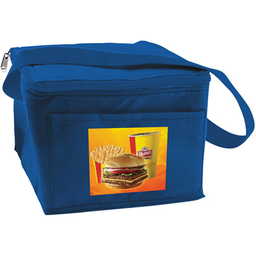 6 Can Collapsible Cooler Lunch Bag with Carry Strap